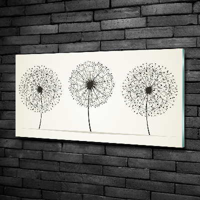 Photo printed on glass Dandelions