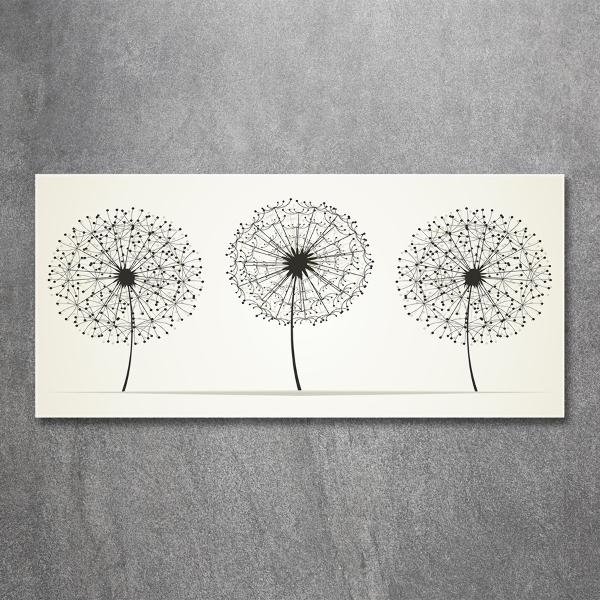 Photo printed on glass Dandelions