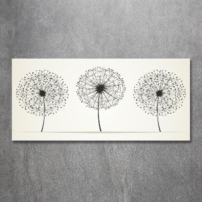 Photo printed on glass Dandelions