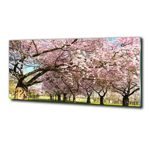 Glass picture wall art Cherry trees