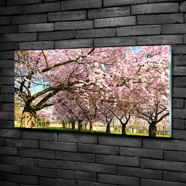 Glass picture wall art Cherry trees