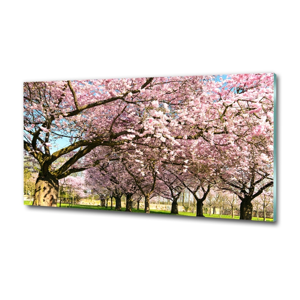 Glass picture wall art Cherry trees