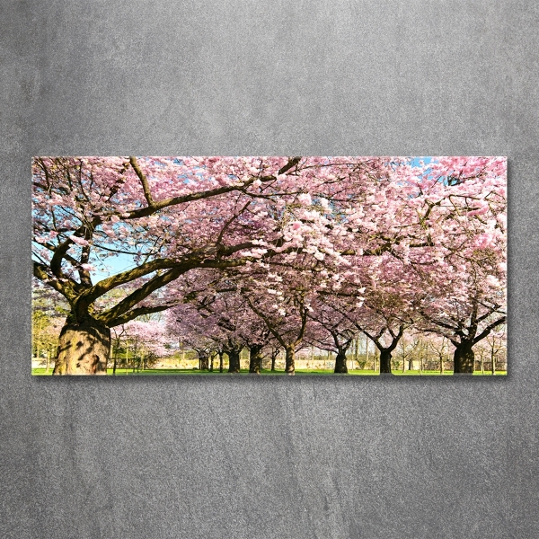 Glass picture wall art Cherry trees