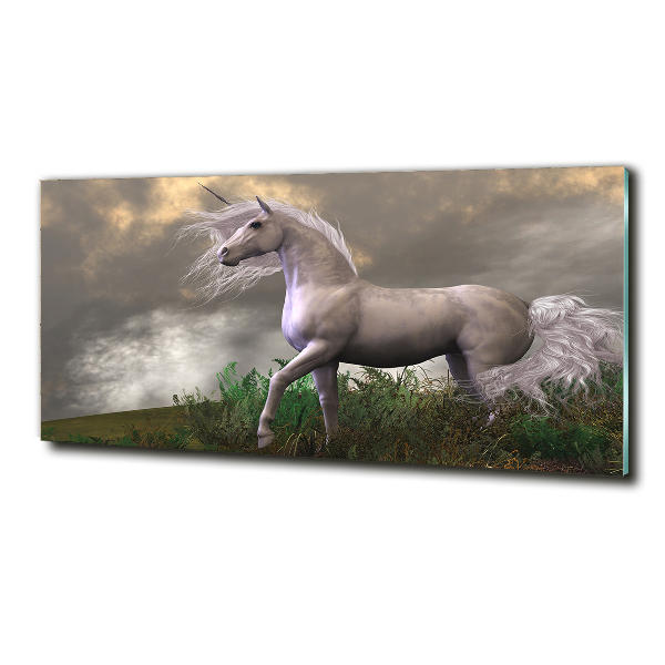 Glass art picture Gray unicorn