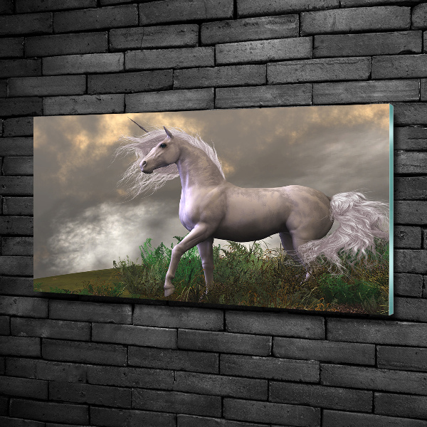 Glass art picture Gray unicorn