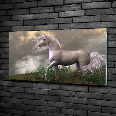 Glass art picture Gray unicorn