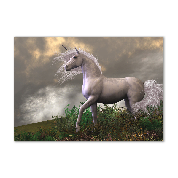 Glass art picture Gray unicorn