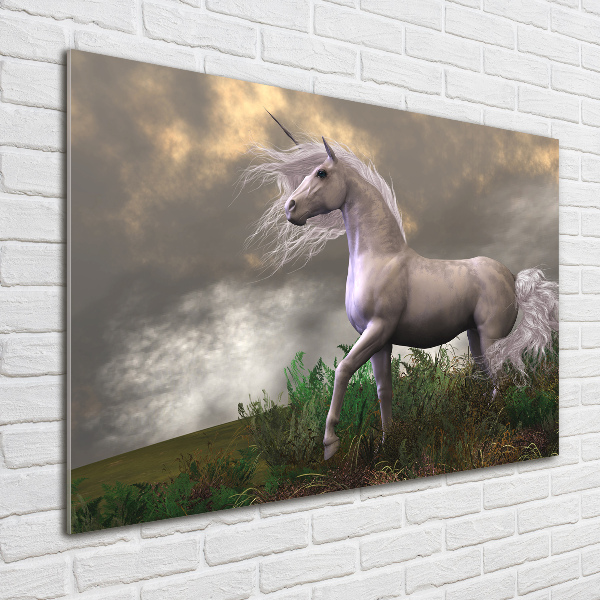 Glass art picture Gray unicorn