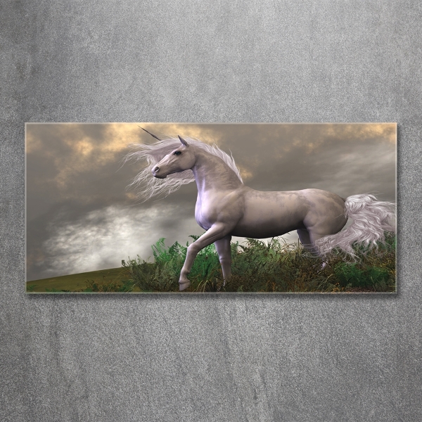 Glass art picture Gray unicorn