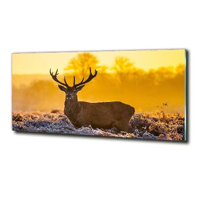 Photo printed on glass Deer sunrise