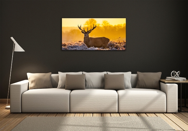 Photo printed on glass Deer sunrise