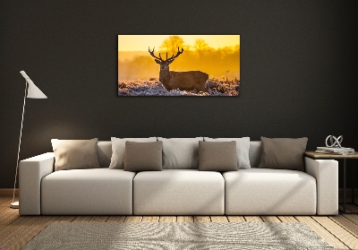 Photo printed on glass Deer sunrise