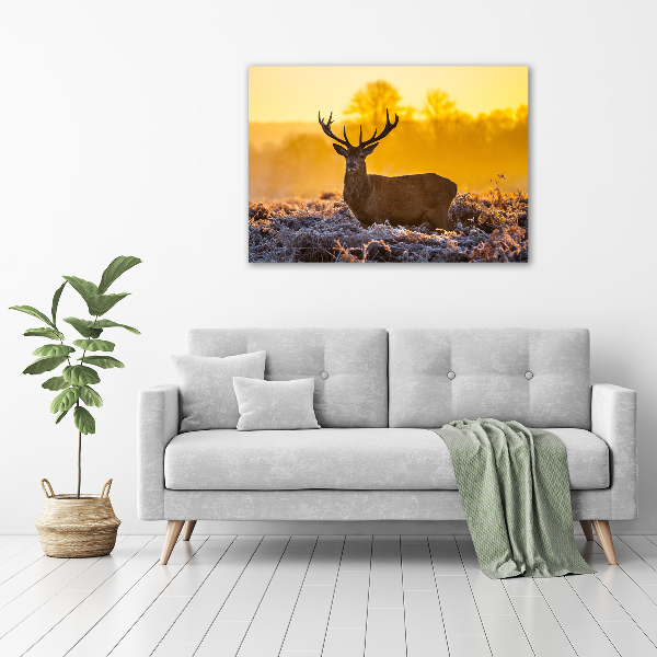 Photo printed on glass Deer sunrise