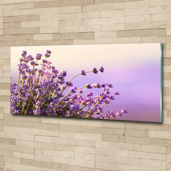 Photo printed on glass Lavender