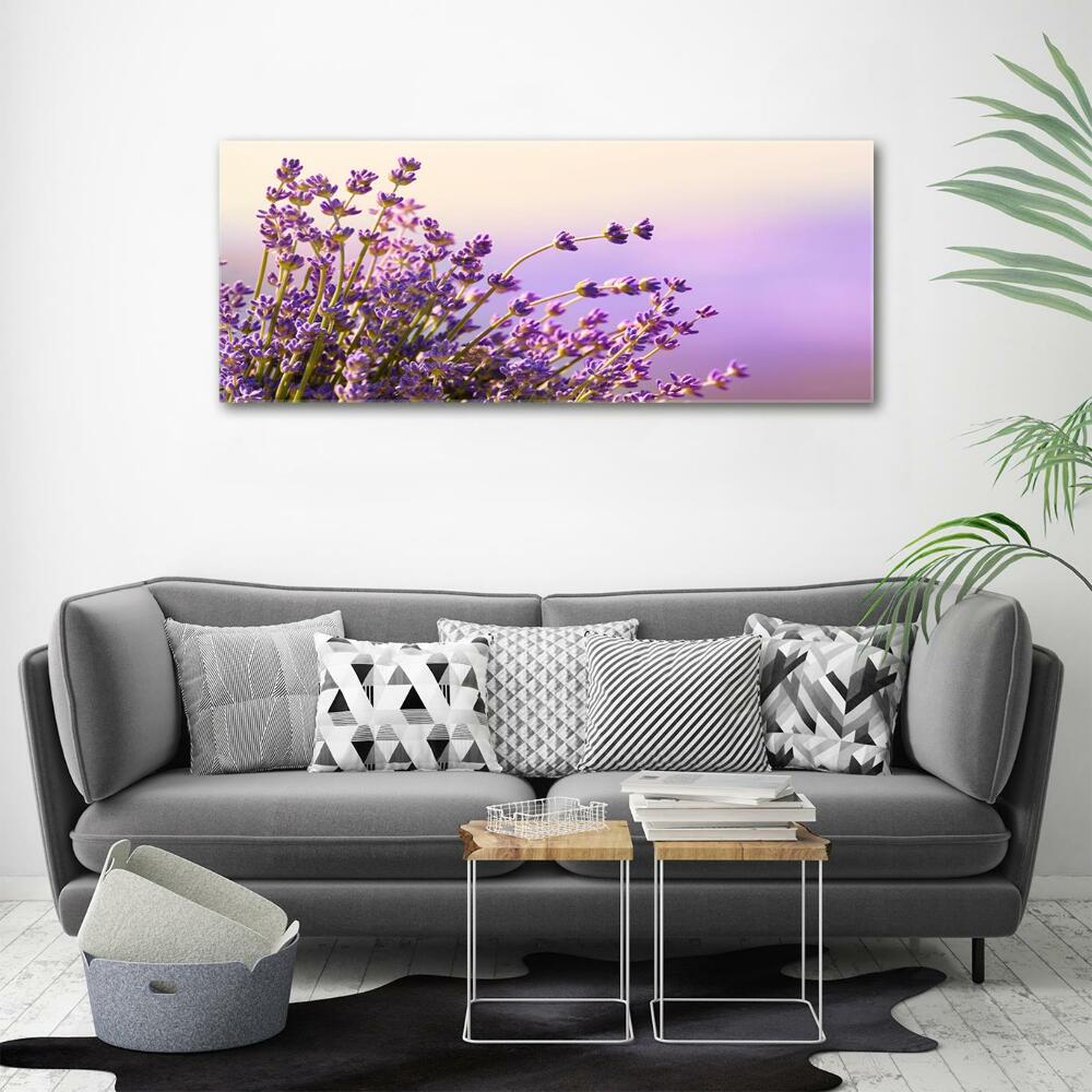 Photo printed on glass Lavender