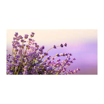 Photo printed on glass Lavender