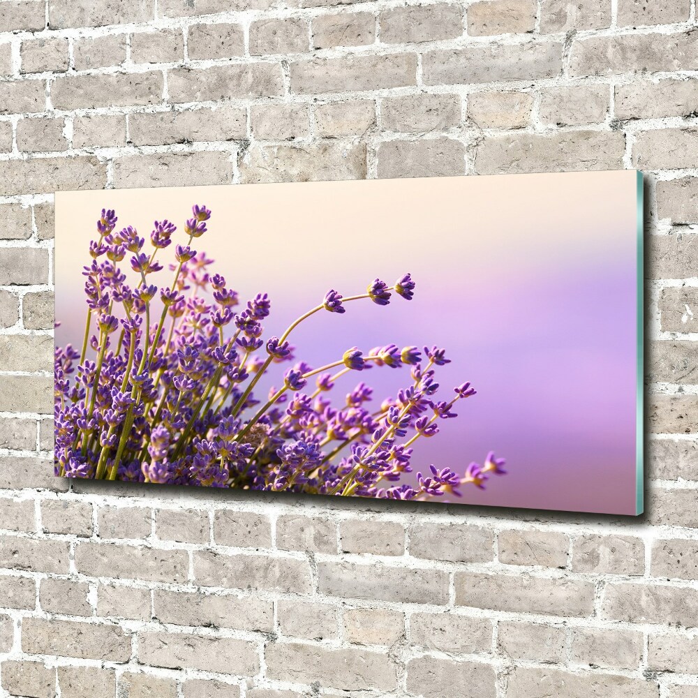 Photo printed on glass Lavender