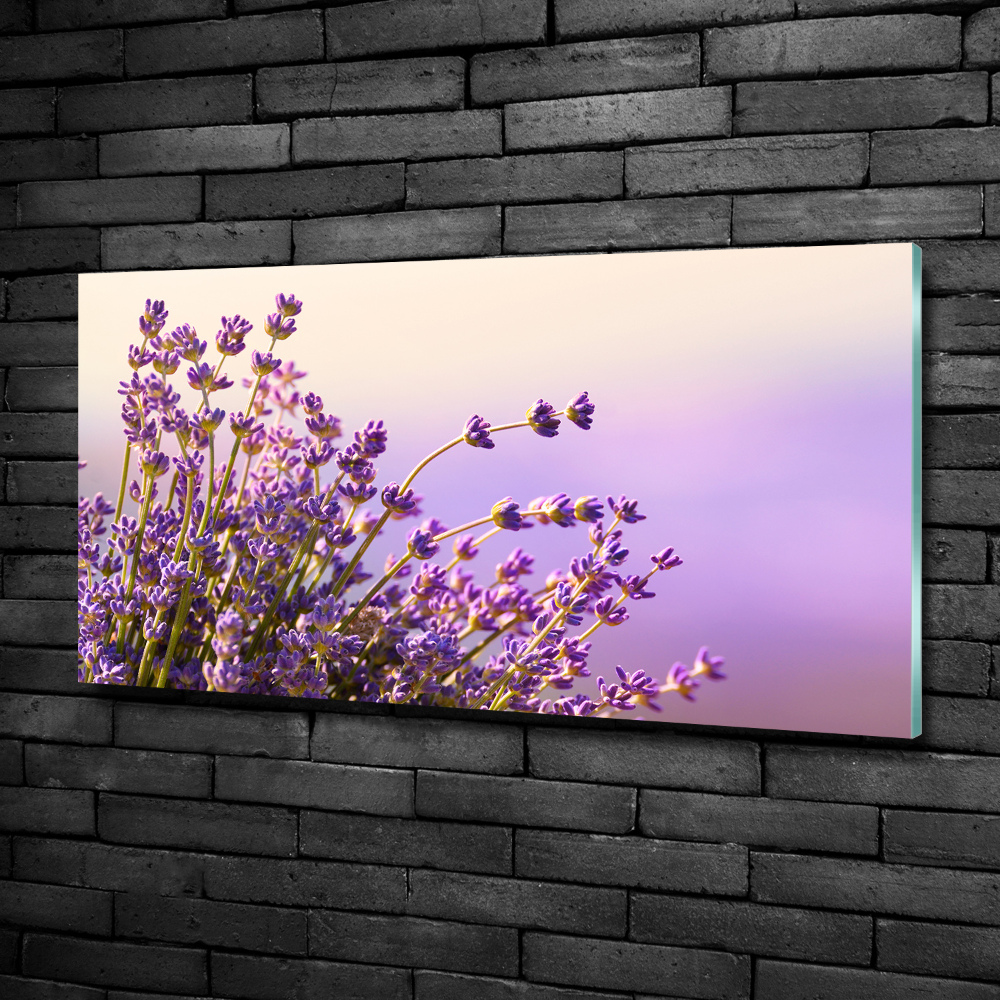 Photo printed on glass Lavender