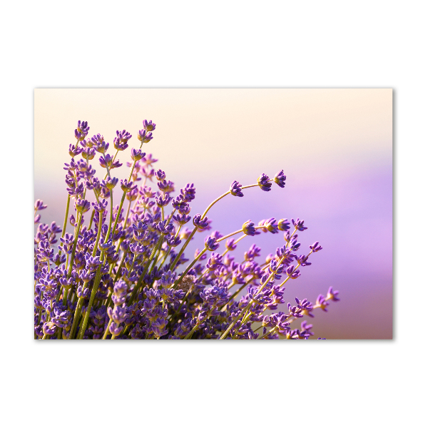 Photo printed on glass Lavender