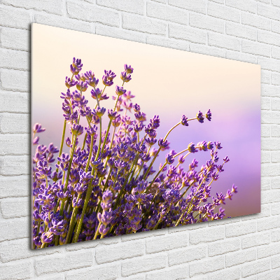 Photo printed on glass Lavender