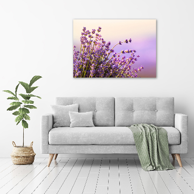 Photo printed on glass Lavender