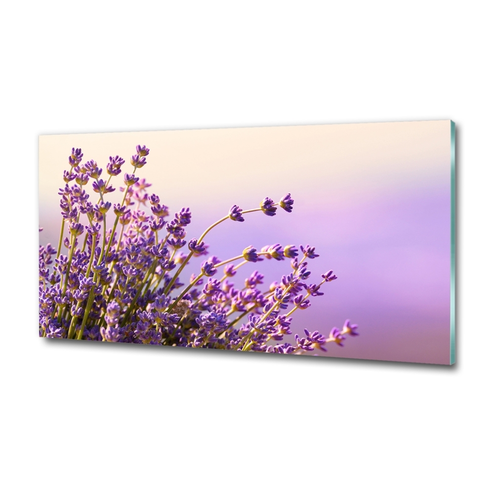 Photo printed on glass Lavender