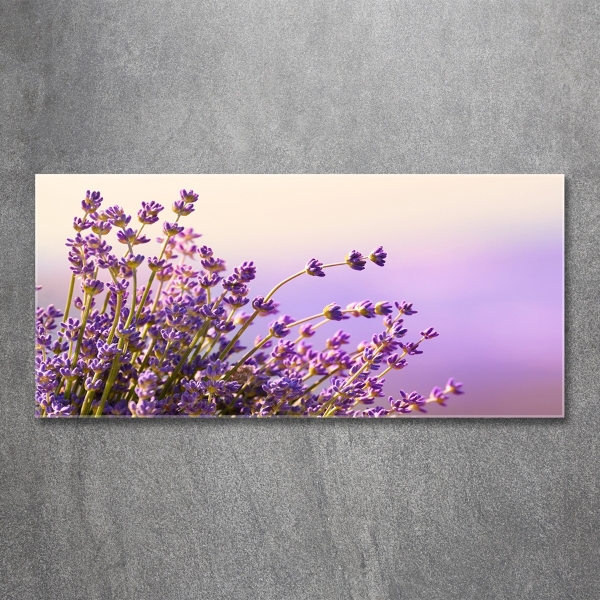 Photo printed on glass Lavender