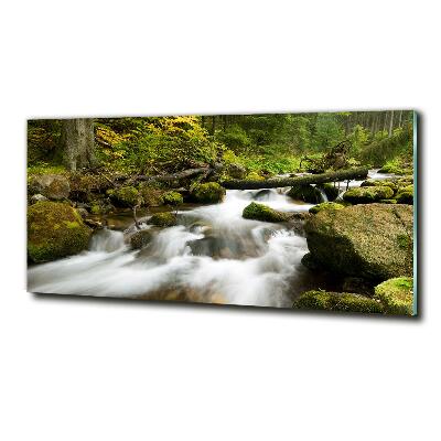 Glass wall art large The stream of olczyski