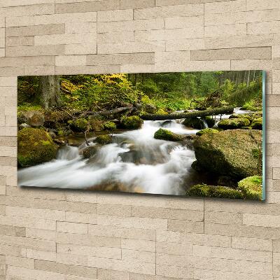 Glass wall art large The stream of olczyski