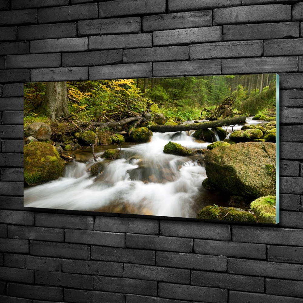 Glass wall art large The stream of olczyski