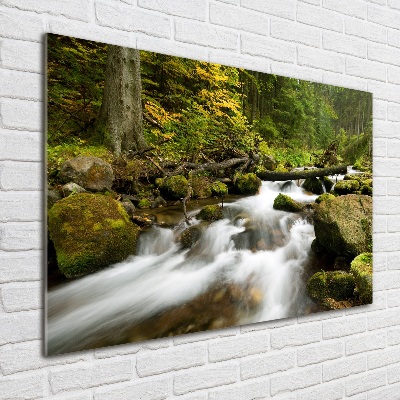 Glass wall art large The stream of olczyski