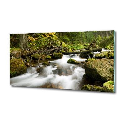 Glass wall art large The stream of olczyski