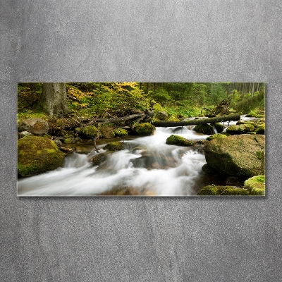 Glass wall art large The stream of olczyski