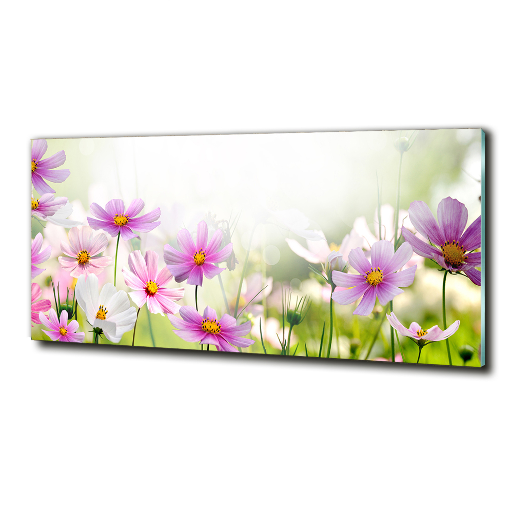 Photo printed on glass Flowers in the meadow