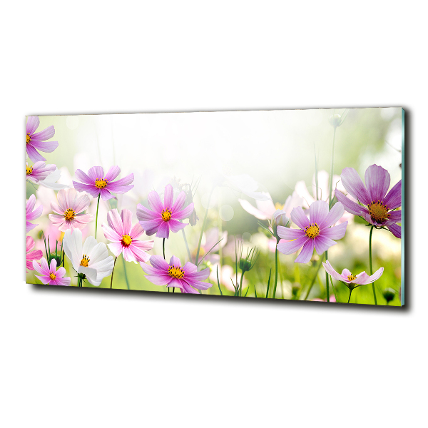 Photo printed on glass Flowers in the meadow