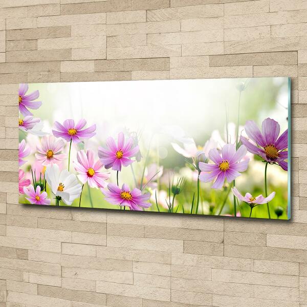 Photo printed on glass Flowers in the meadow