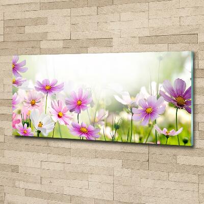 Photo printed on glass Flowers in the meadow