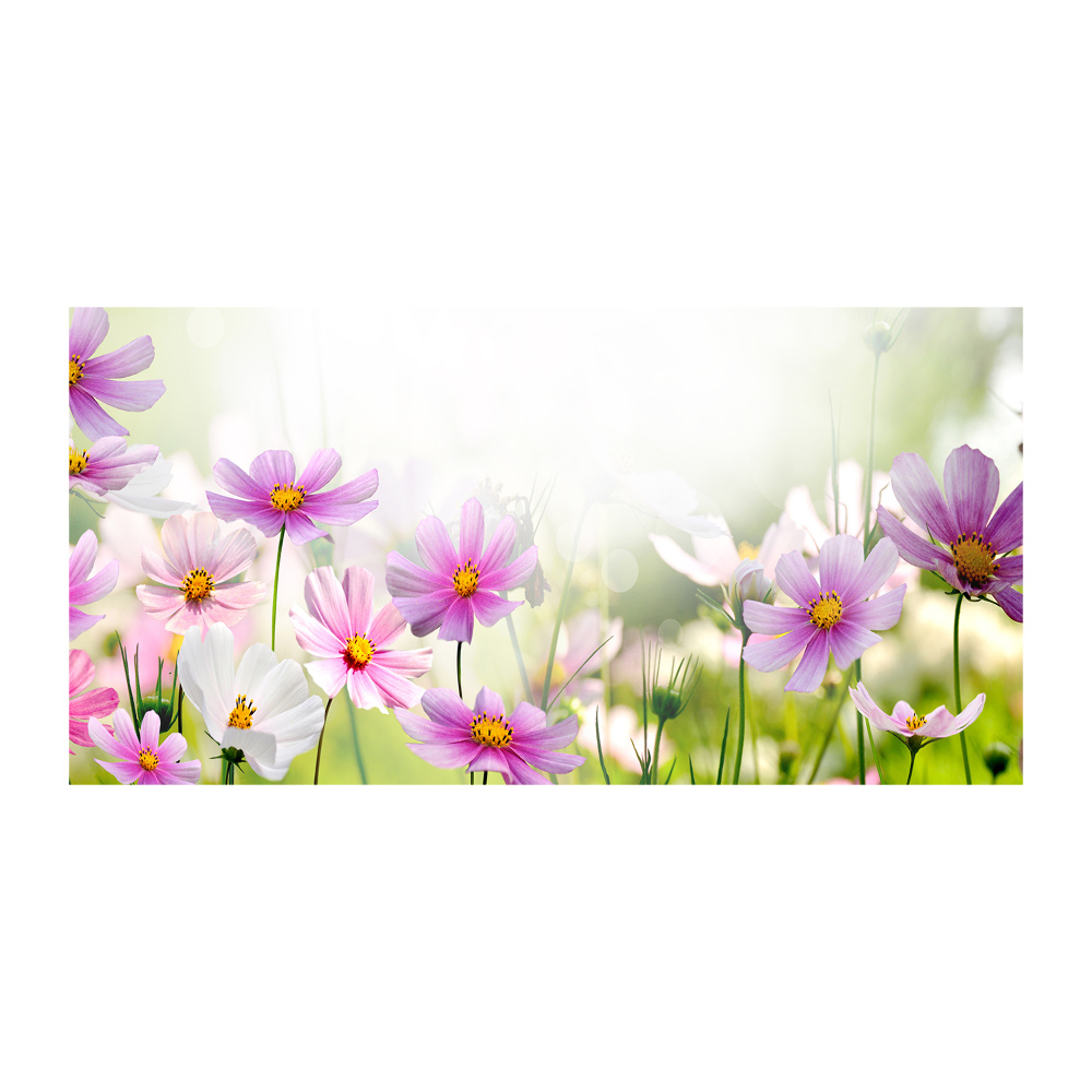 Photo printed on glass Flowers in the meadow