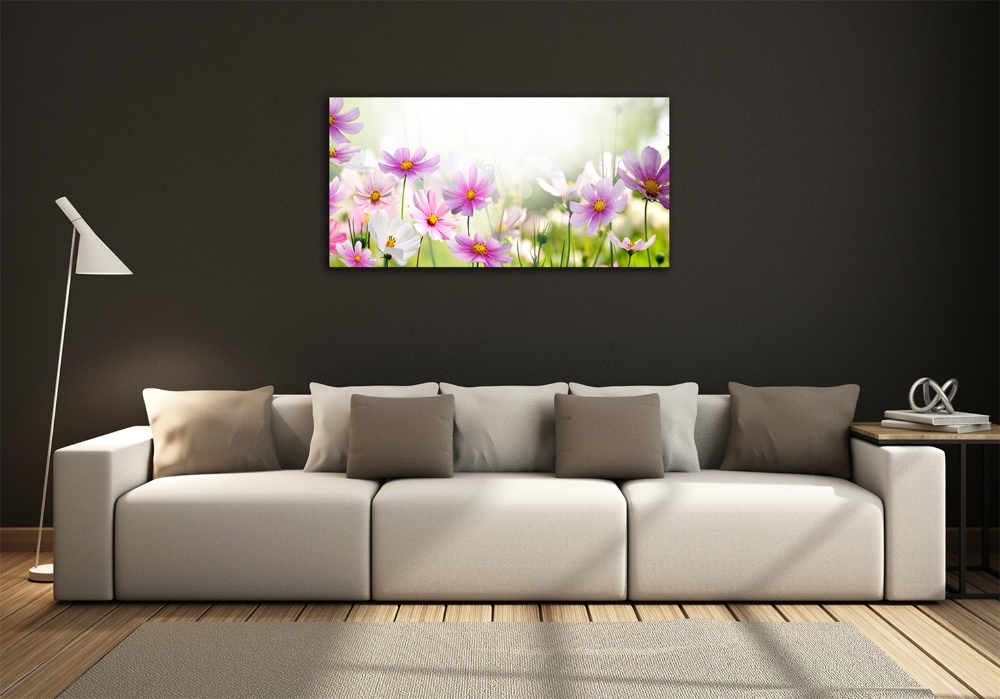 Photo printed on glass Flowers in the meadow