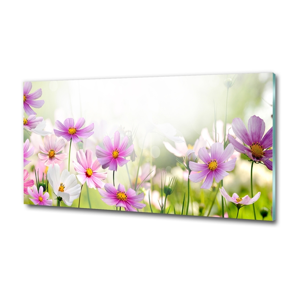 Photo printed on glass Flowers in the meadow