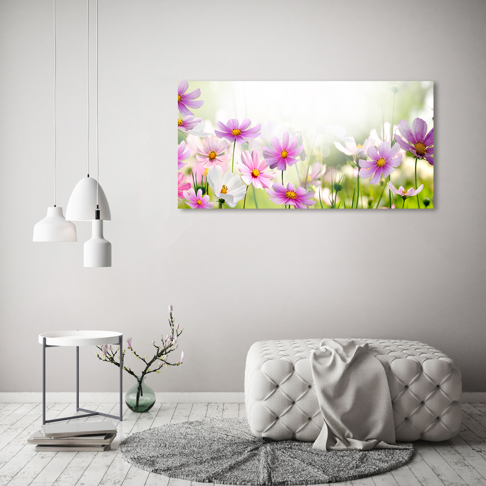 Photo printed on glass Flowers in the meadow