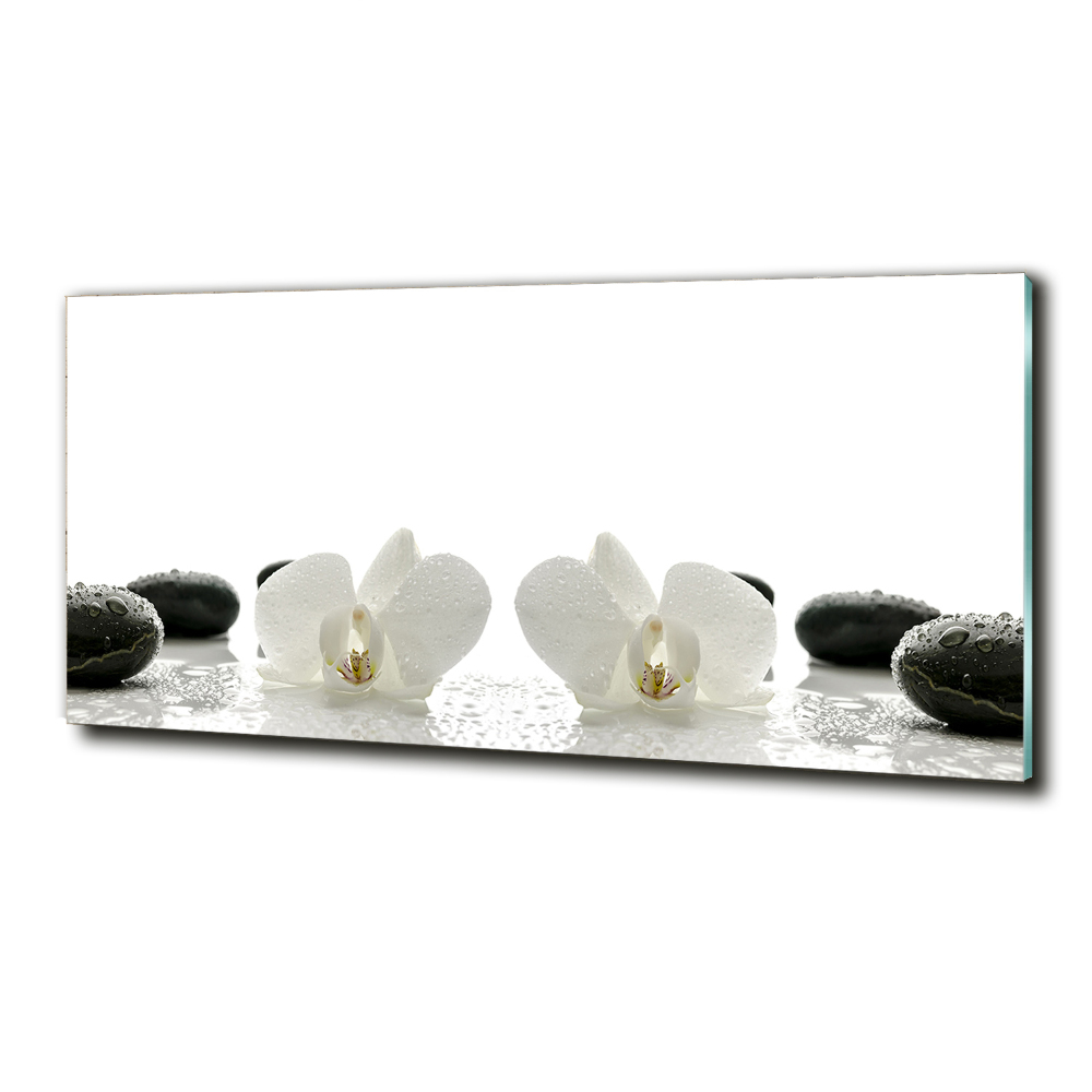 Glass picture wall art Orchid