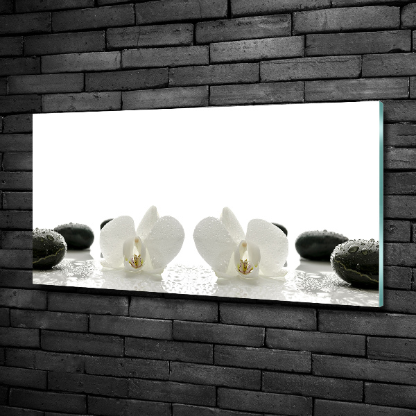 Glass picture wall art Orchid