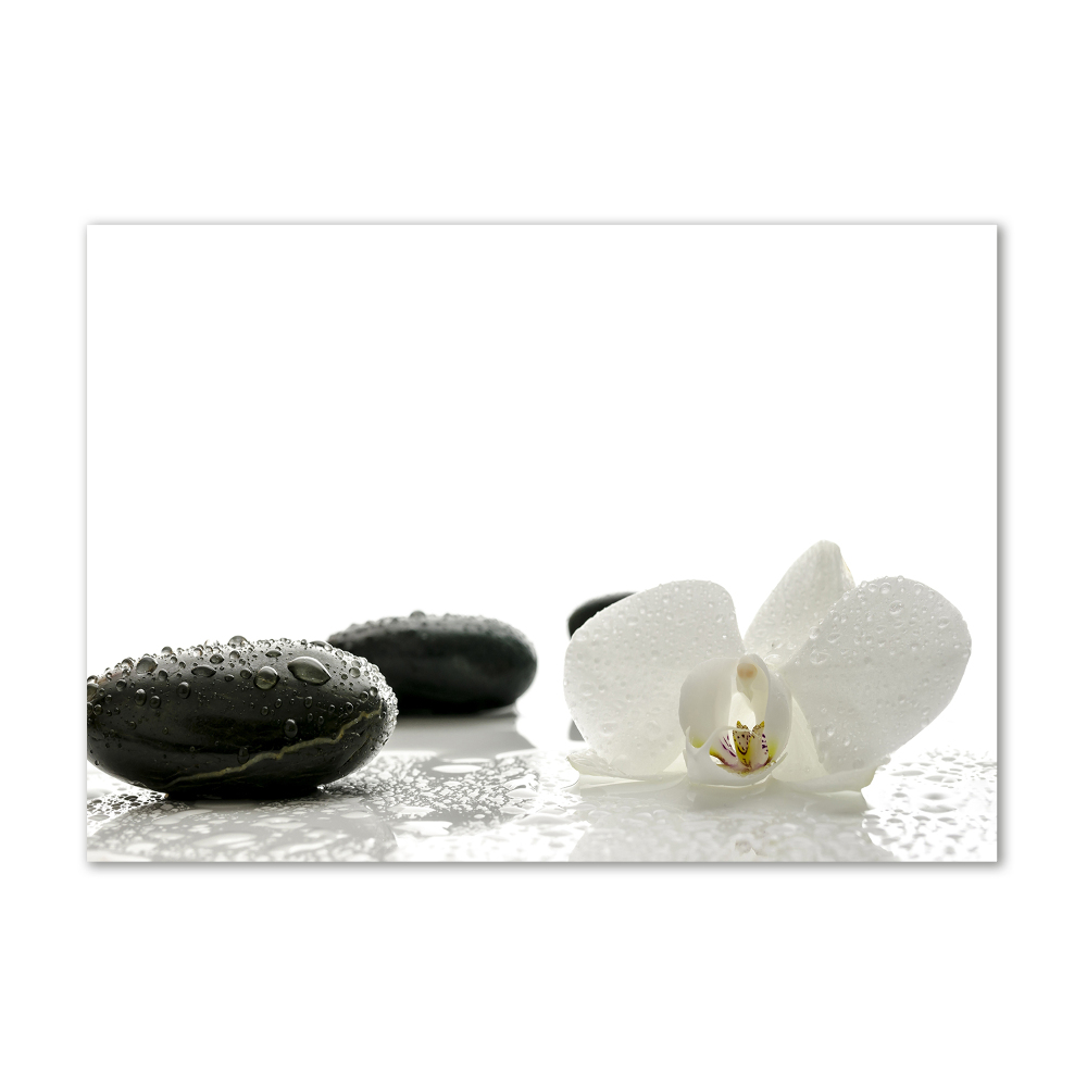 Glass picture wall art Orchid