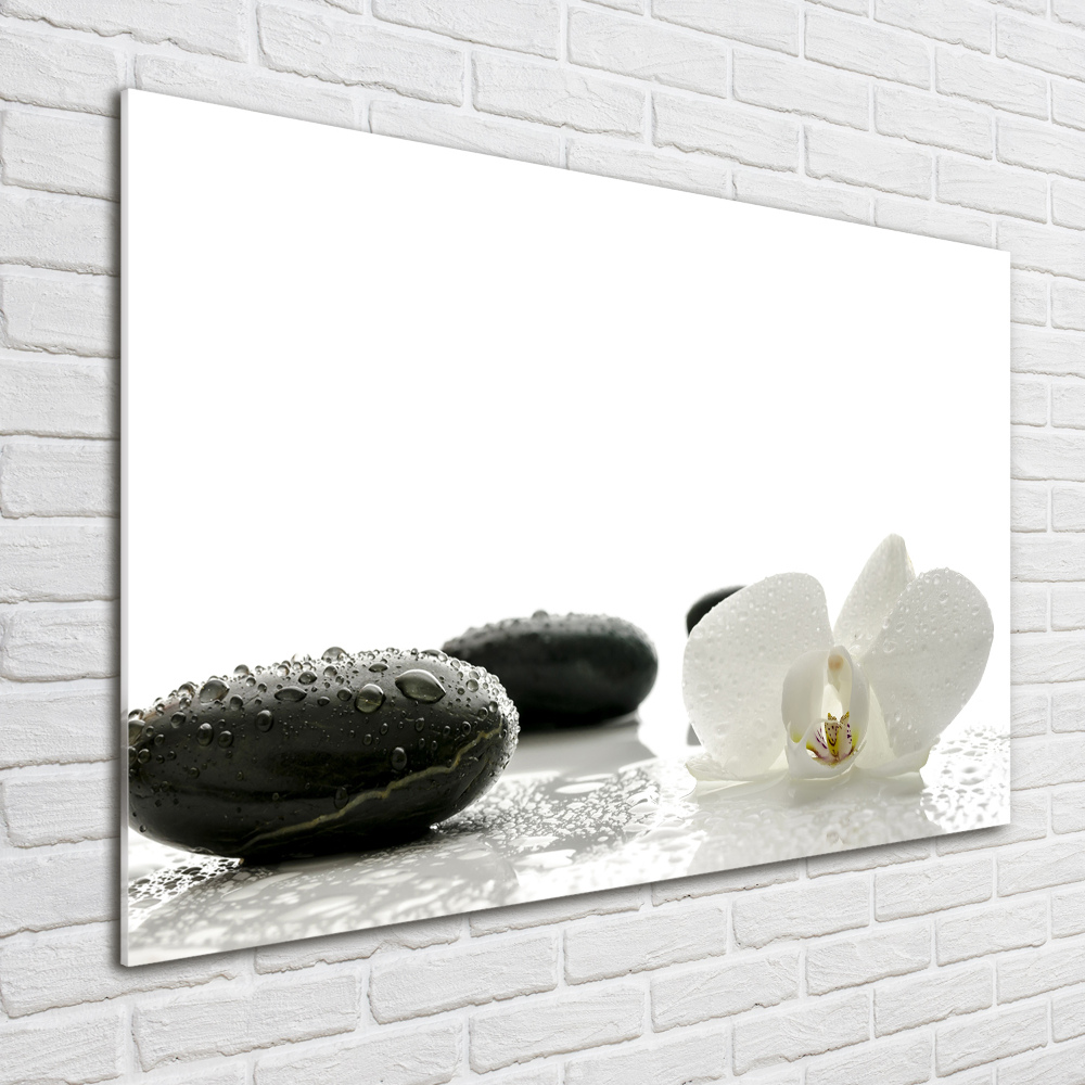 Glass picture wall art Orchid