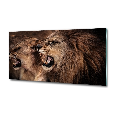 Glass art picture Roaring lions