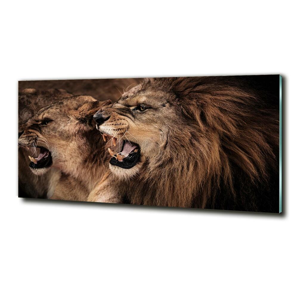 Glass art picture Roaring lions