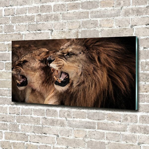 Glass art picture Roaring lions