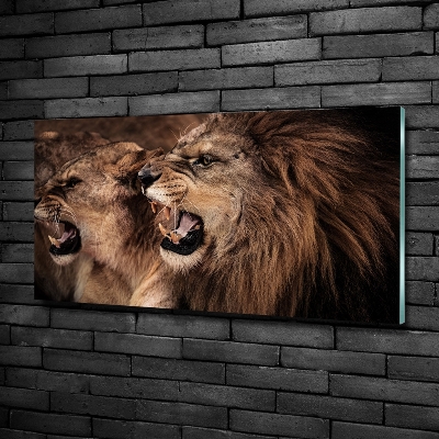 Glass art picture Roaring lions