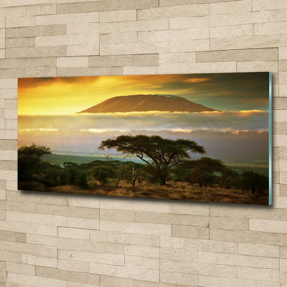 Glass wall art large Kilimanjaro kenya